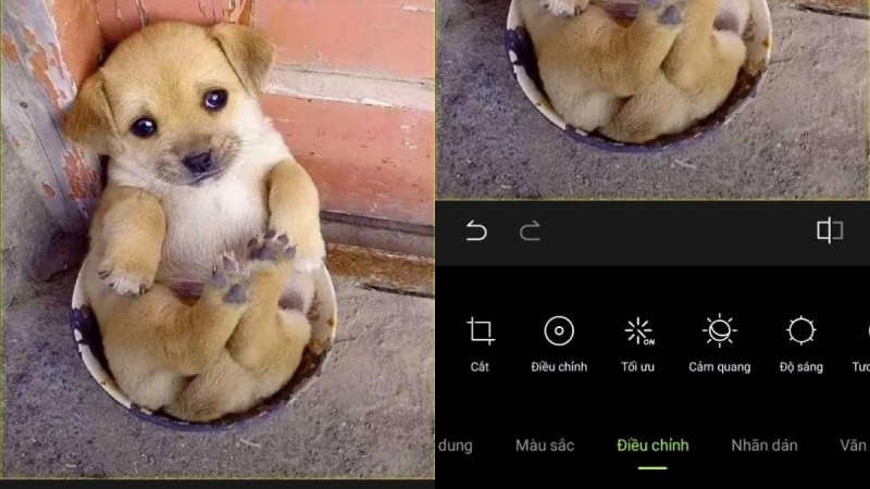 Xingtu APK