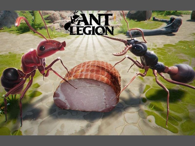 Chiến đấu với kẻ thù và sinh vật khác trong Ant Legion