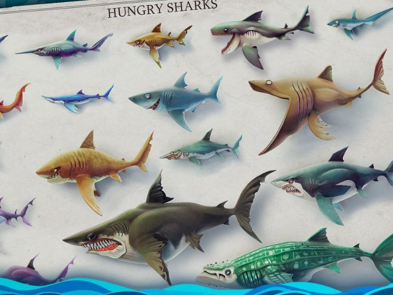 Đa dạng loài cá mập trong Hungry Shark World