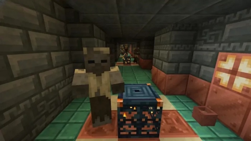 Minecraft 1.21.21