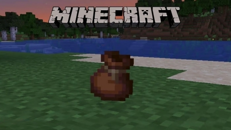 Minecraft 1.21.22
