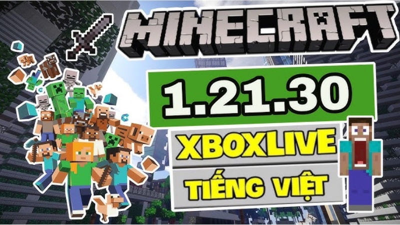 Minecraft 1.21.30