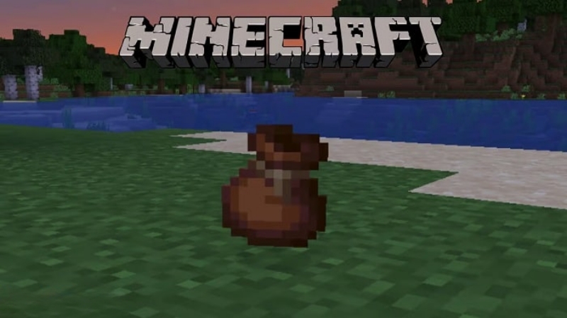 Minecraft 1.21.43