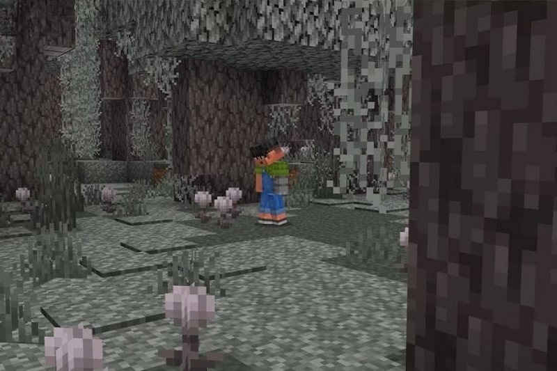 Minecraft 1.21.61 APK