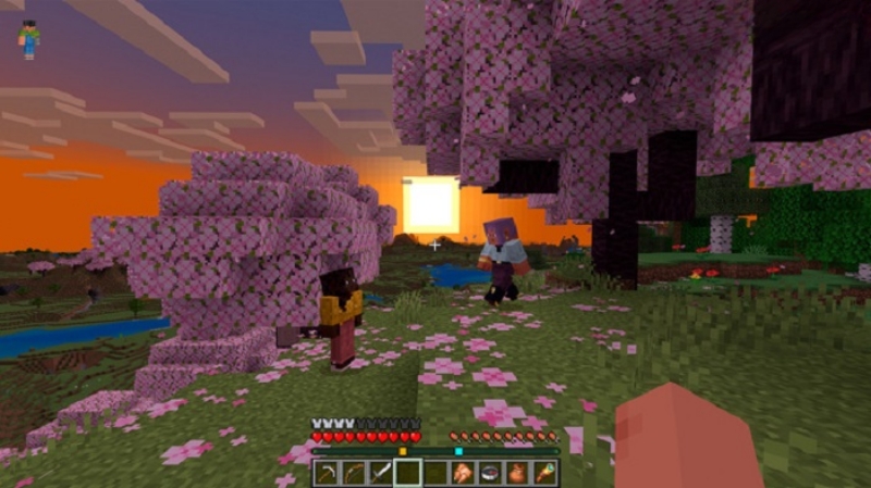 Minecraft 1.21.70